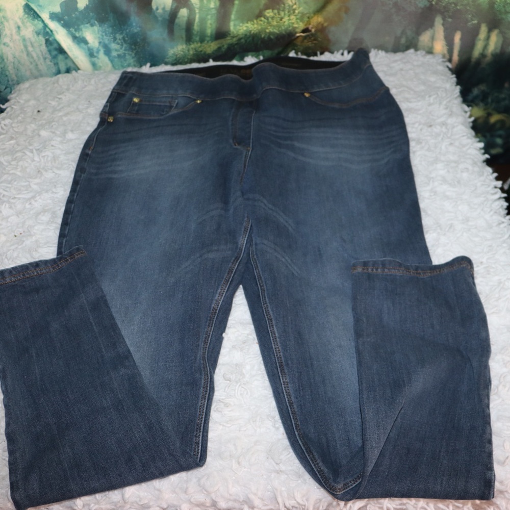 Women’s Levi’s Luxe Denim 4 Way Stretch Jeggings